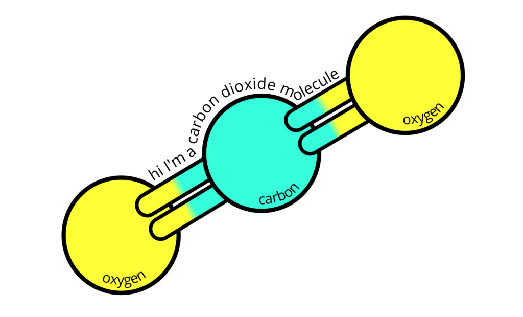 a molecule of carbon dioxide
