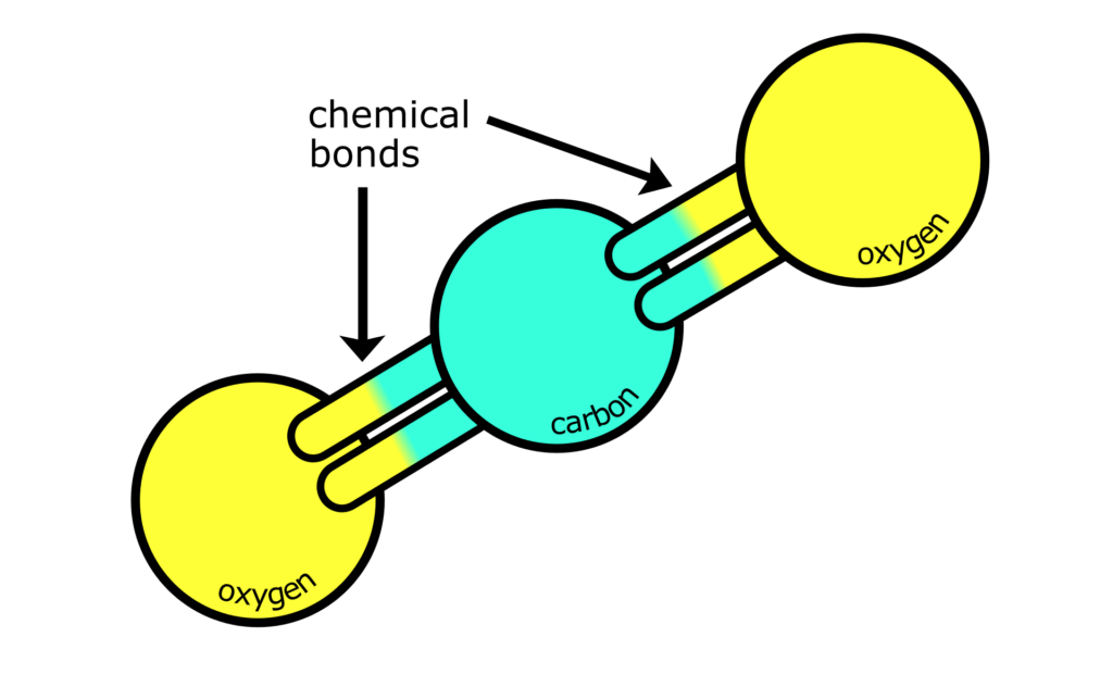 A labelled diagram of a carbon dioxide molecule